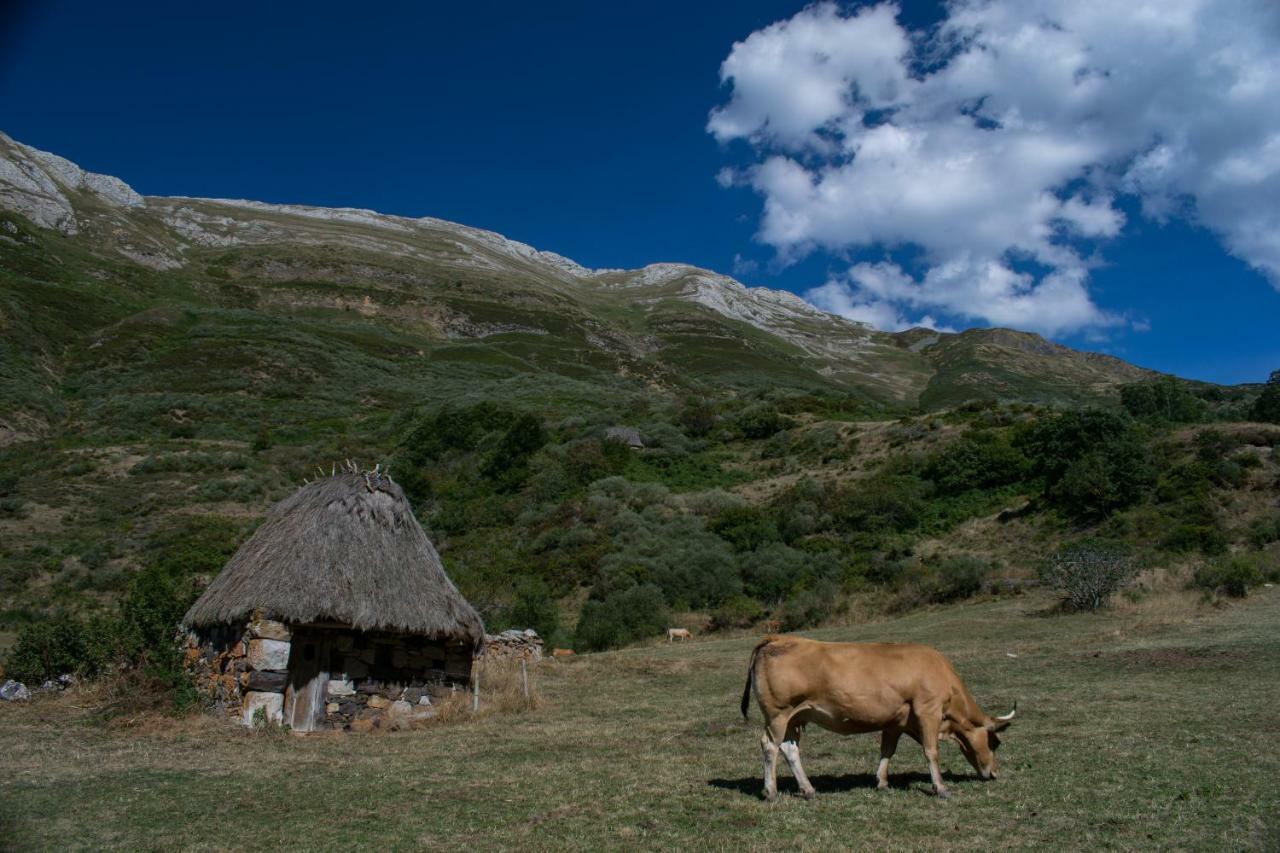 Casa Serafo Saliencia Dış mekan fotoğraf