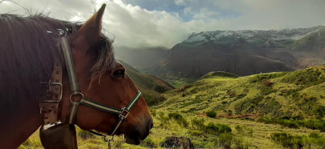 Casa Serafo Saliencia Dış mekan fotoğraf